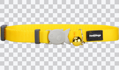 Cat Collars - Classic
