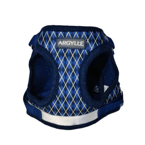"The True Adventurer" Harness & Leash