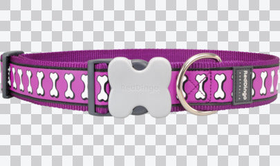 Buckle Bone Dog Collars - Reflective