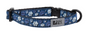 Kitty Breakaway Collar