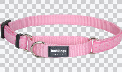 Martingale Dog Collars - Design