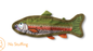 CATCH OF THE DAY DURABLE PLUSH DOG TOY Case of 4