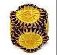 Two yellow suns with radiating lines on a dark patterned background