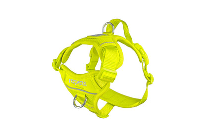 Momentum Harness