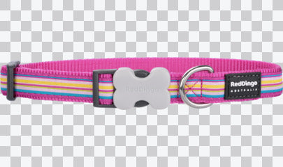Buckle Bone Dog Collars - Design - Horizontal Stripes