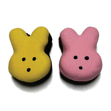 Bunny Brownie Bites (Spring) Case of 12