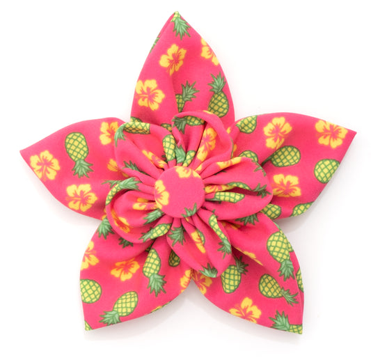 Pineapples Flower