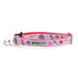 Fashionista Cat Collar