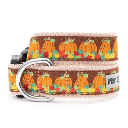 Pumpkin Patch Collar