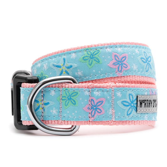 The Worthy Dog Starfish Floral Collar in light blue with pink trim and a silver D-ring