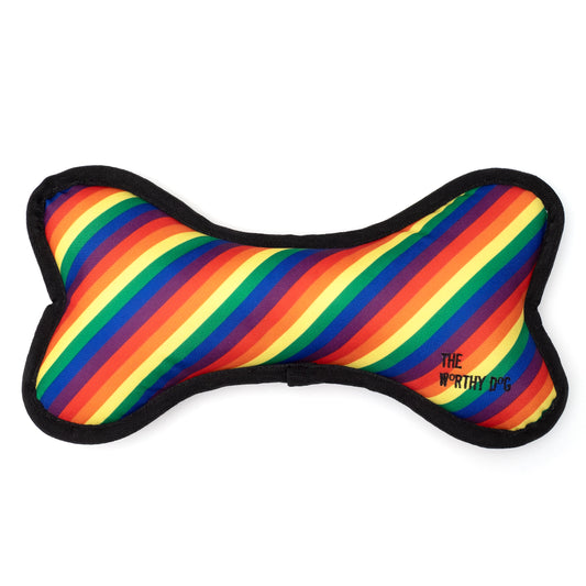 Rainbow Bone Toy