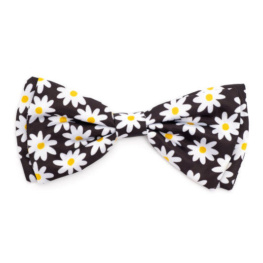 Lazy Daisy Bow Tie