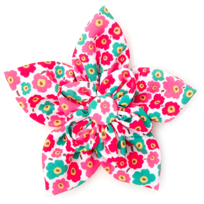 Fleurs Flower