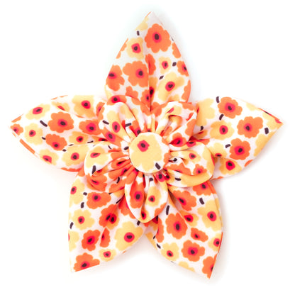 Fleurs Flower