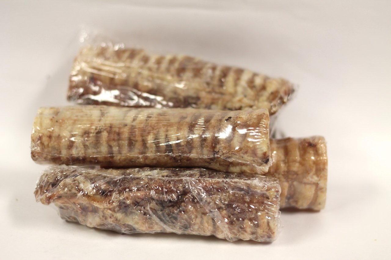 6" Beef Trachea (Bulk - Shrinkwrapped)- Pack of 25