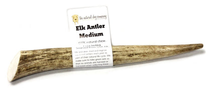 Elk Antler - Medium Whole- EACH