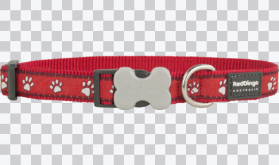 Buckle Bone Dog Collars - Design - Desert Paws