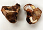 Bison Knot, Kuckles, and Hip