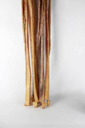 32-26" Odor Free Full Cane Bully Stick (Bulk) - Pack of 10