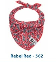 Zephyr Cooling Bandana