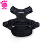 Eddie Bauer Comfort Harness (Inner Pack 6)