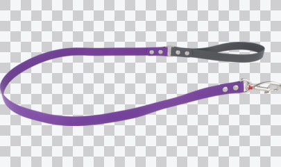 Vivid PVC Dog Lead