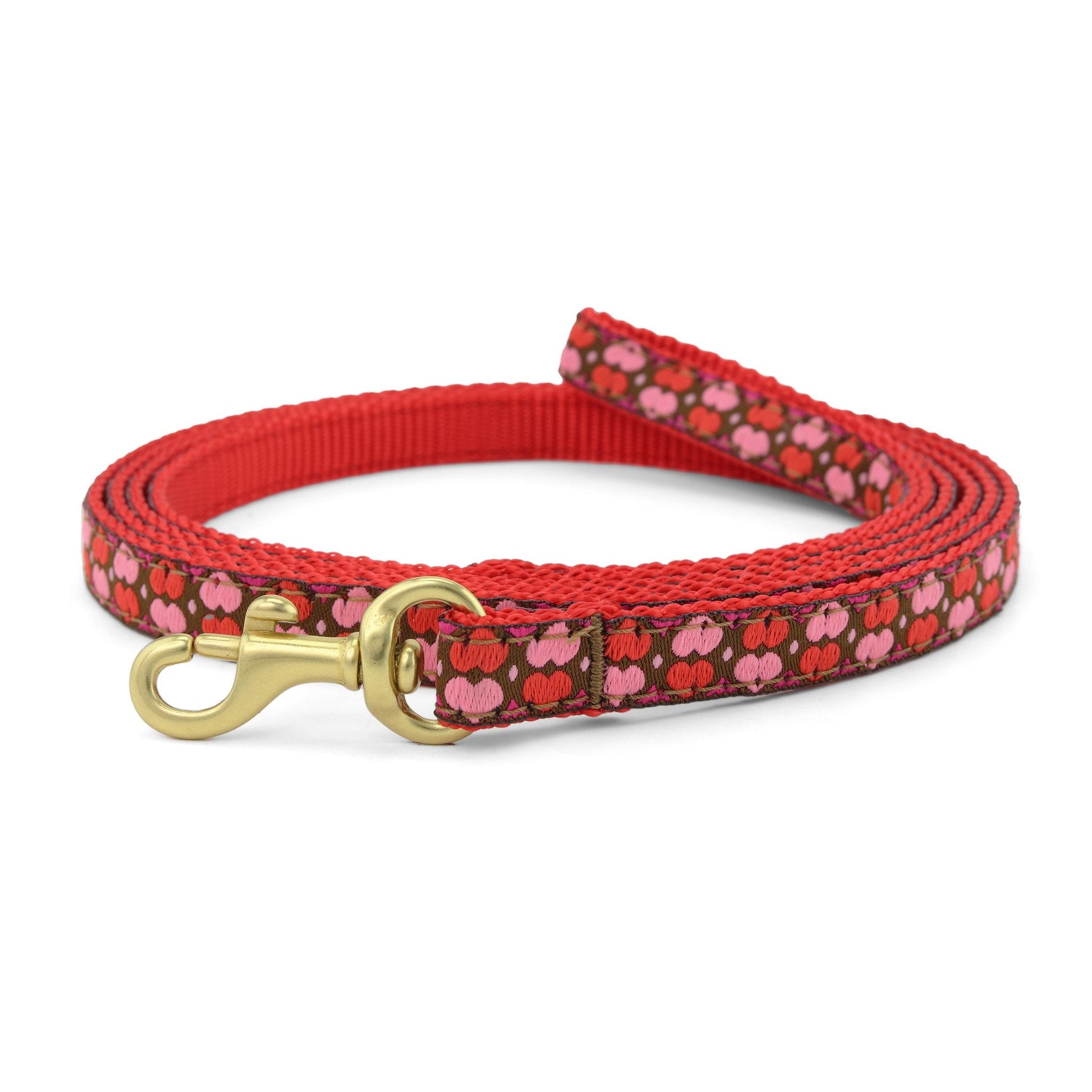 All Hearts Small Breed Dog Leash