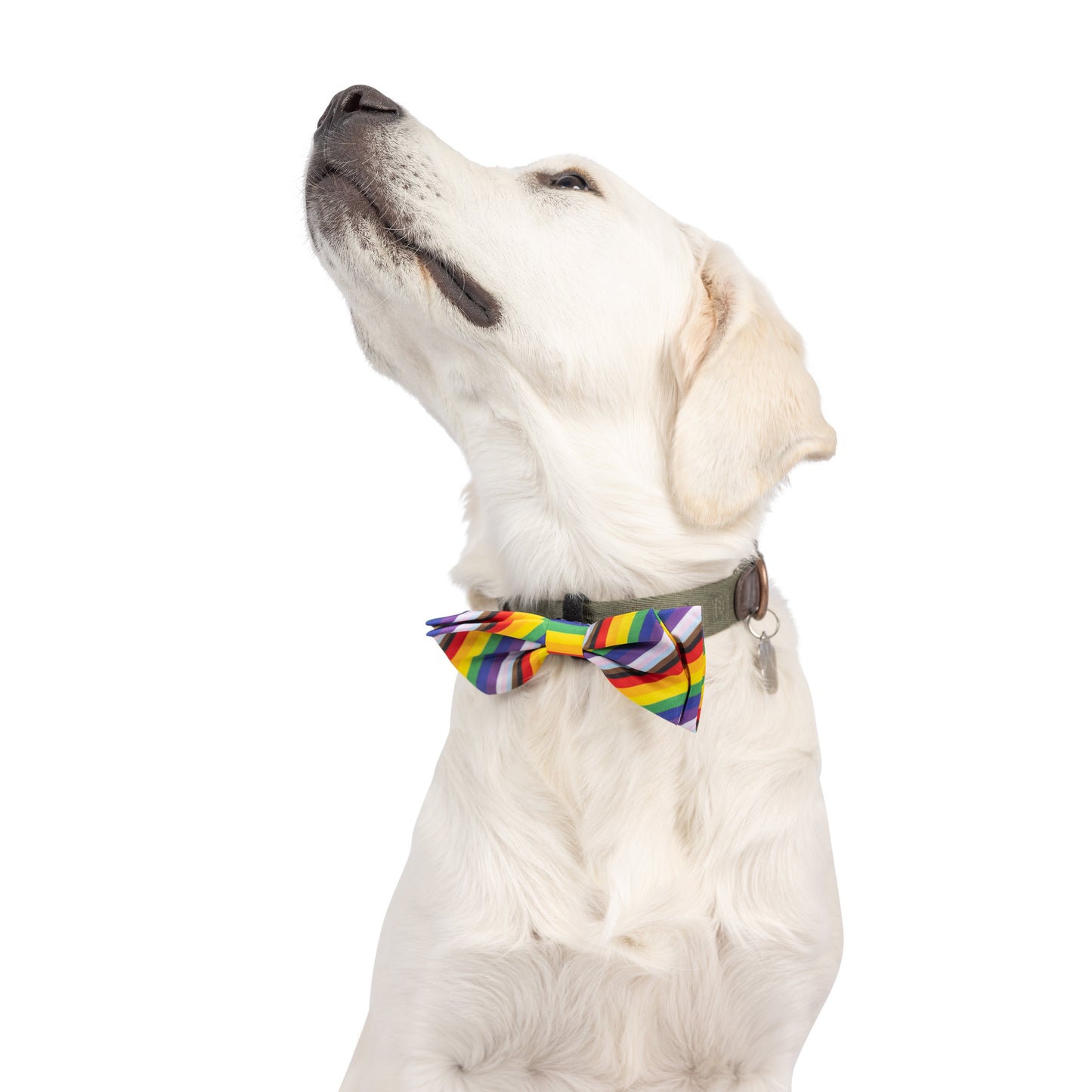 All Together Bow Tie