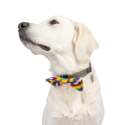 All Together Bow Tie