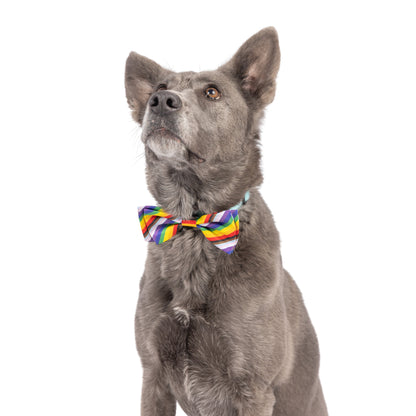 All Together Bow Tie