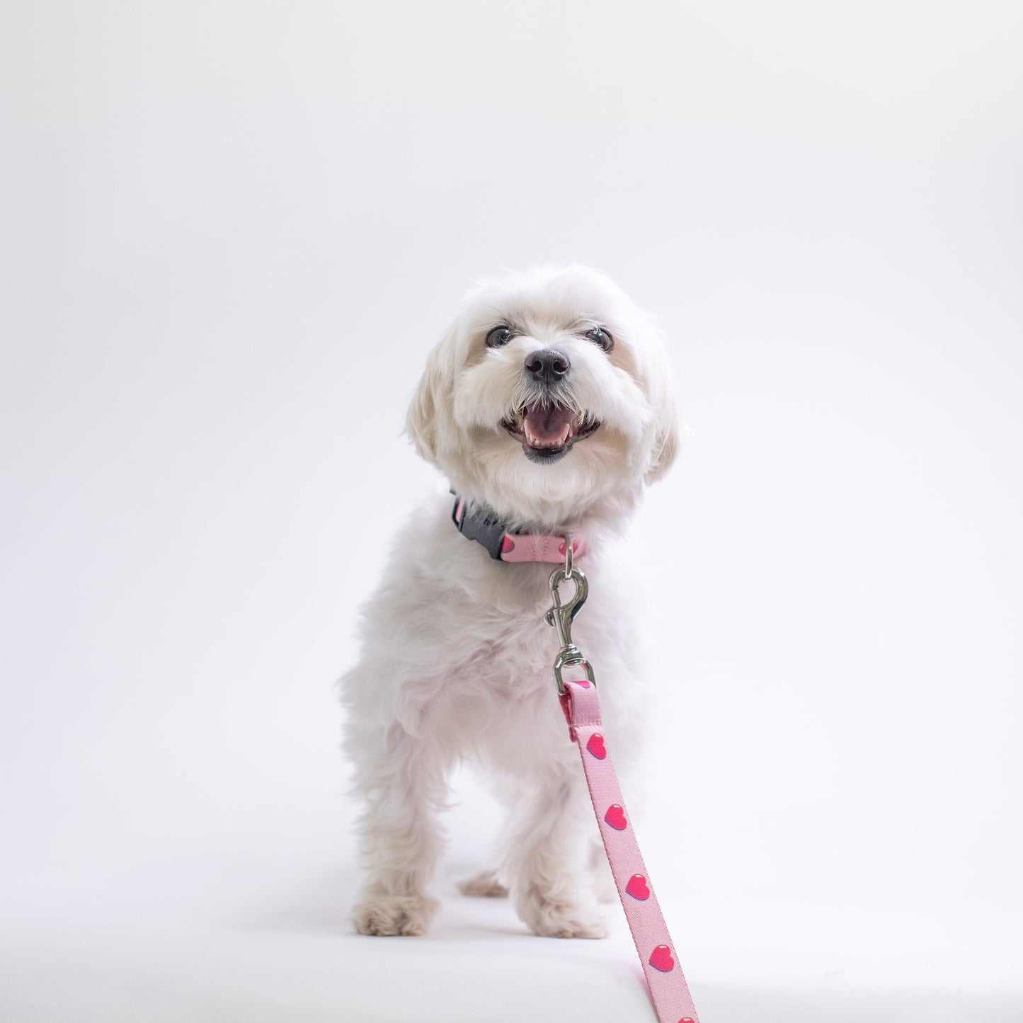 Anime Hearts Printed Dog Lead