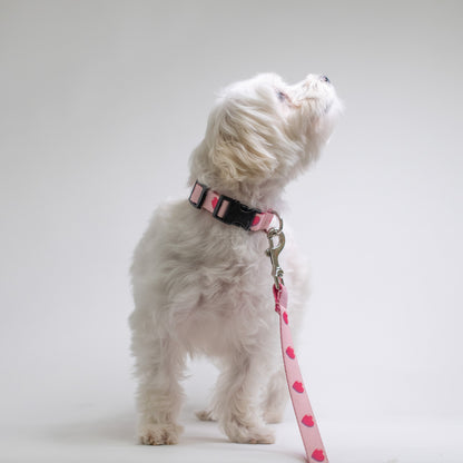 Anime Hearts Printed Dog Collar