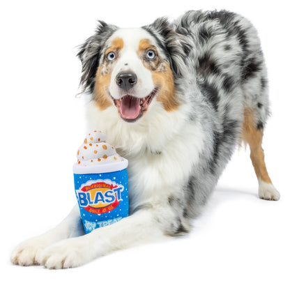 Arctic Blast Treat Dog Toy (Double Sided)