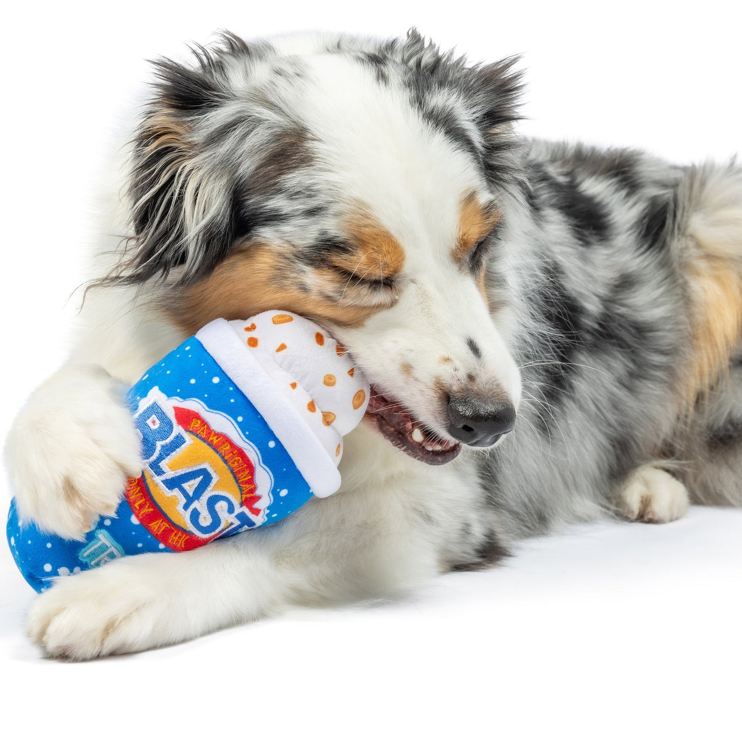 Arctic Blast Treat Dog Toy (Double Sided)