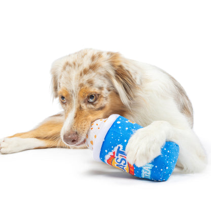 Arctic Blast Treat Dog Toy (Double Sided)