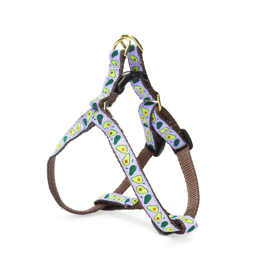 Avocado Small Breed Dog Harness