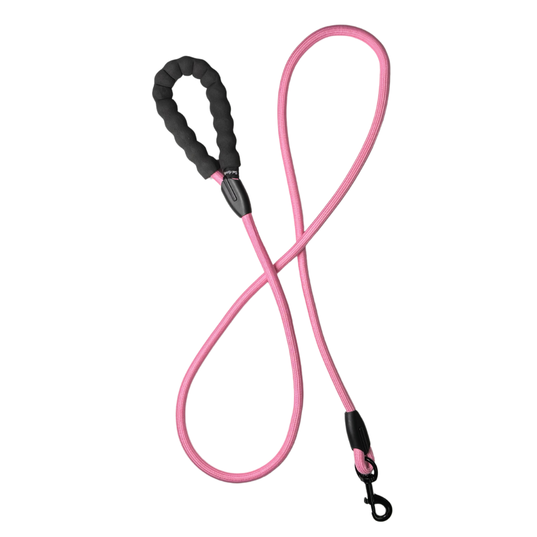 6' Rope Leash