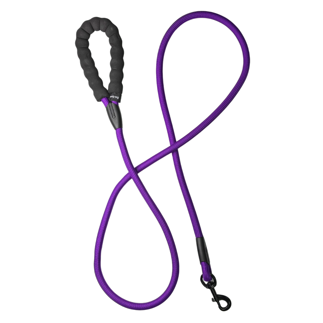 4' Rope Leash