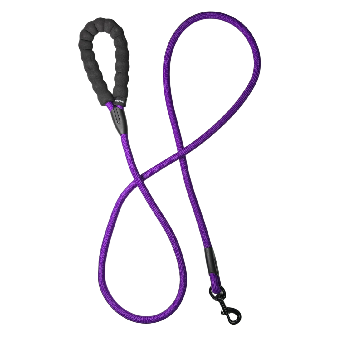 6' Rope Leash
