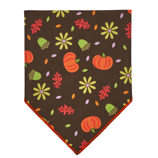 Harvest Time Bandana