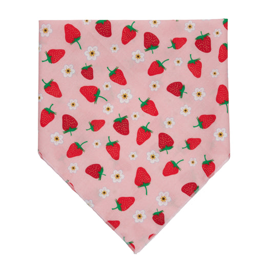 Strawberry Bandana