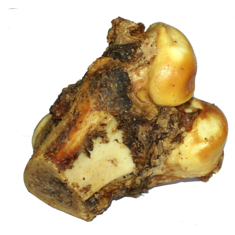 BEEF KNUCKLE BONE- PACK OF 10