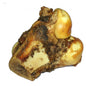 BEEF KNUCKLE BONE- PACK OF 10