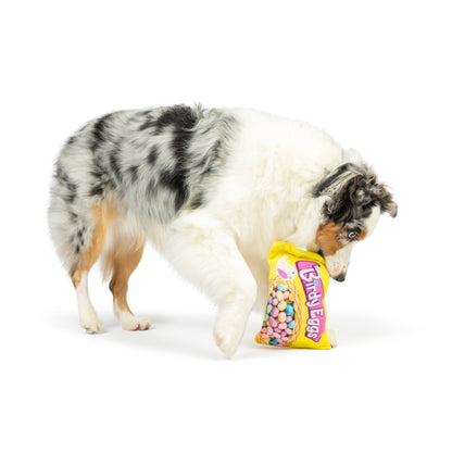 Birdy Eggs Dog Toy - 30% Off
