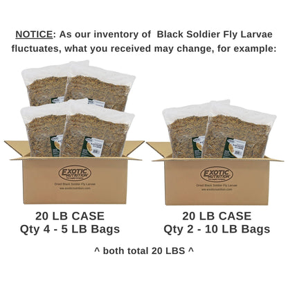 Dried Black Soldier Fly Larvae