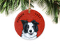 Border Collie Ornament