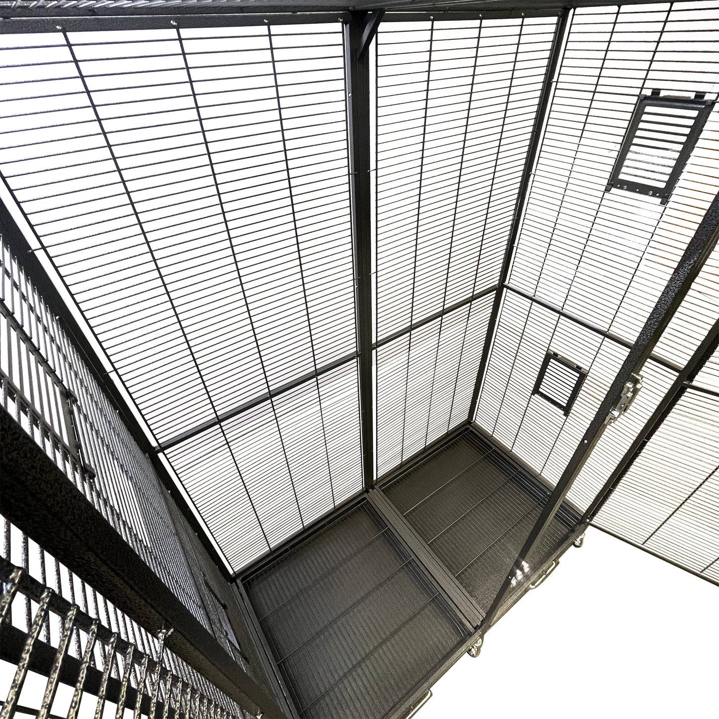 Borneo Cage