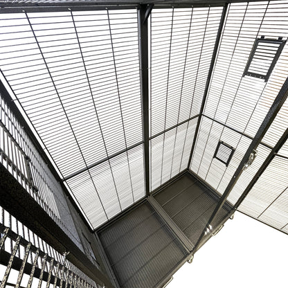 Borneo Cage