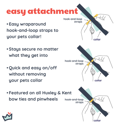 Cool Breezes Bow Tie