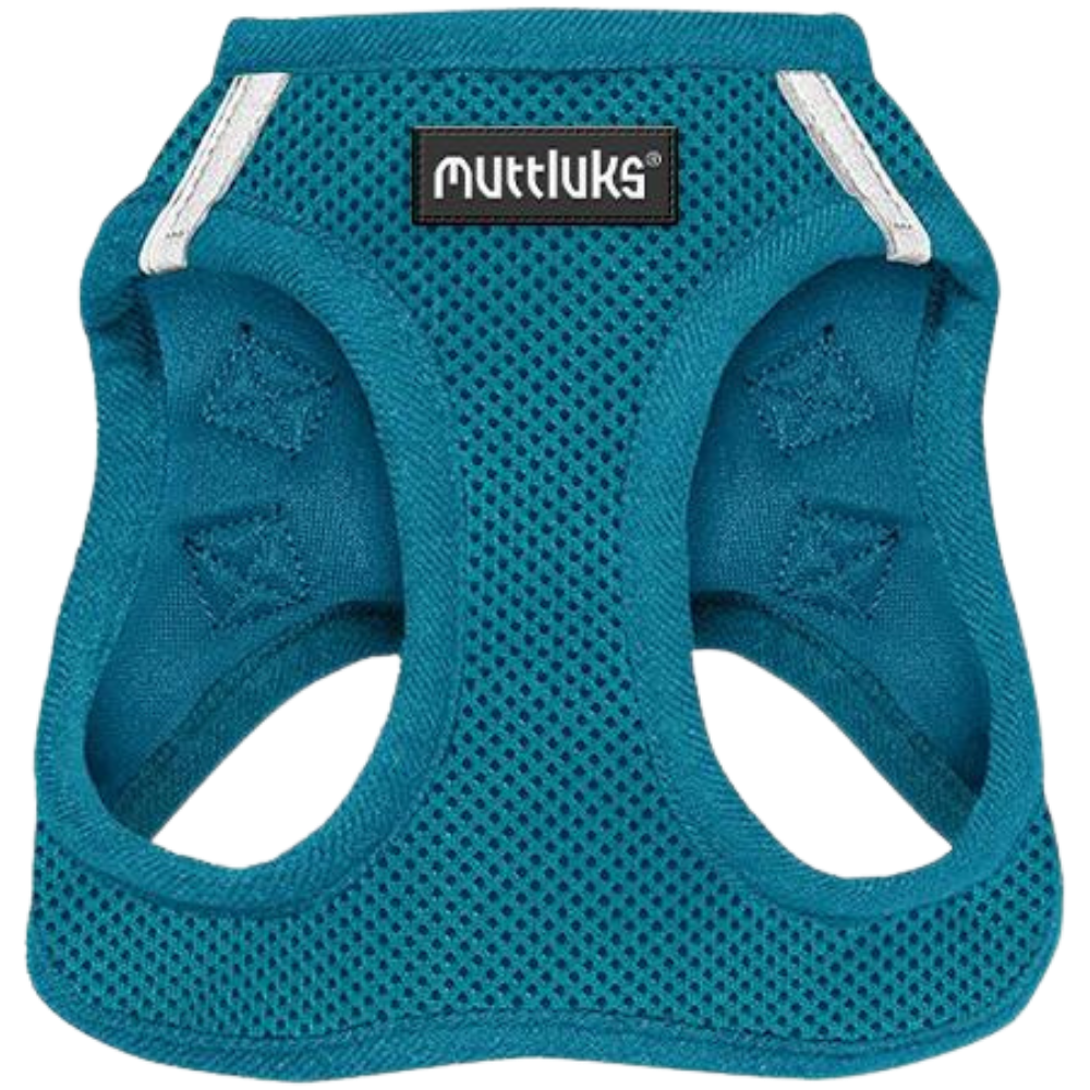 Muttluks teal dog harness with reflective strips